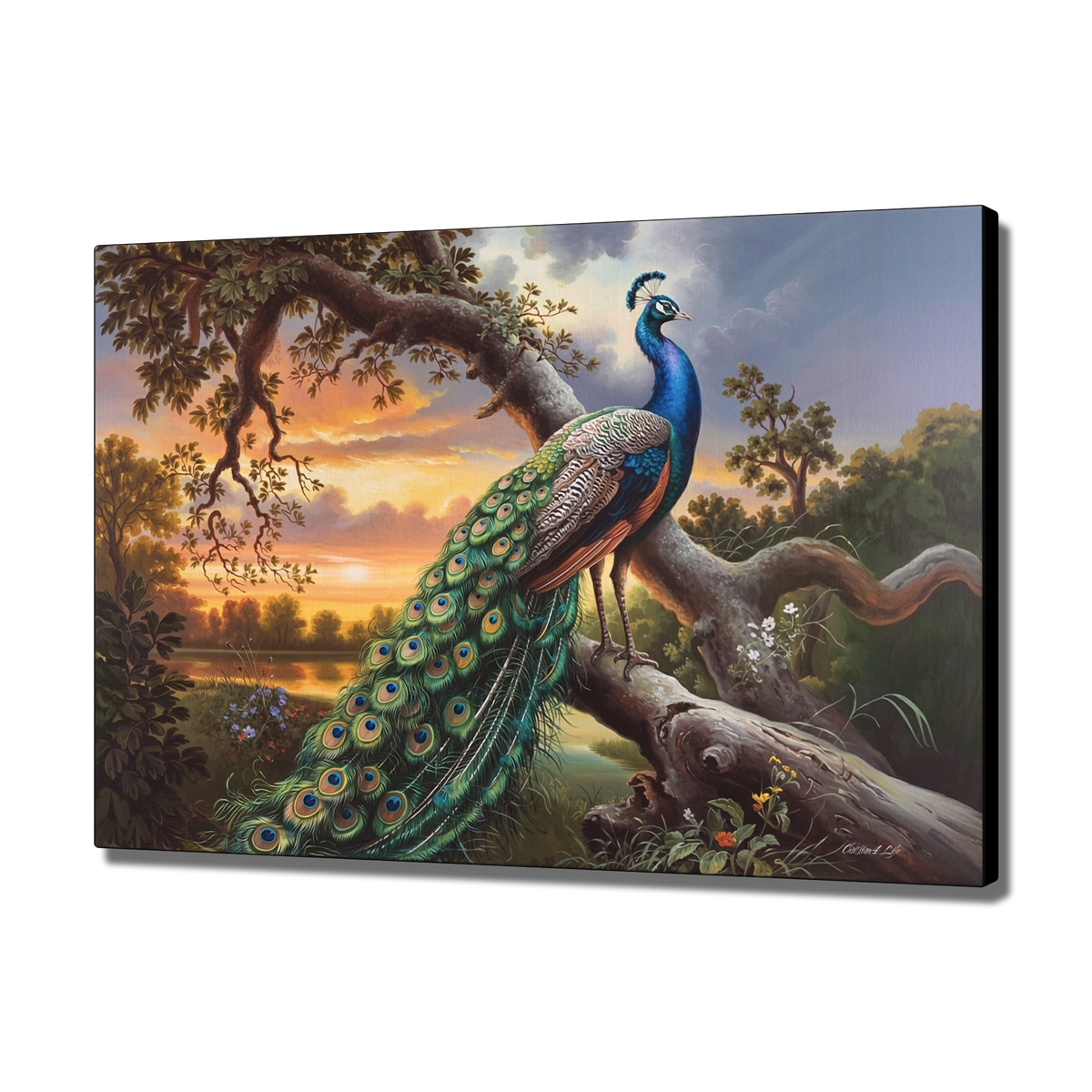 Beautiful Peacock canvas art print - a classic and elegant statement, Peacock art