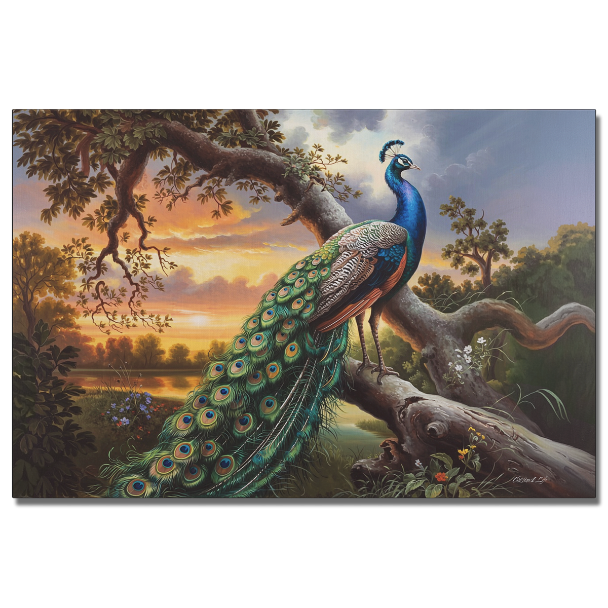 Beautiful Peacock canvas art print - a classic and elegant statement, Peacock art
