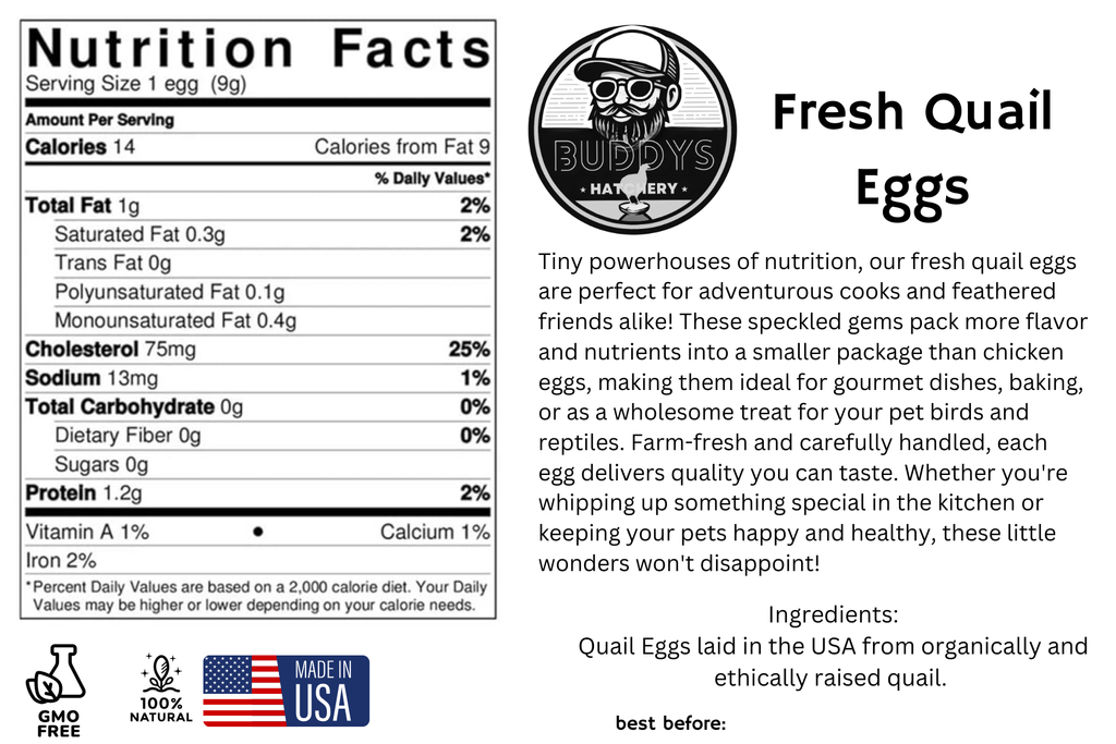 Fresh Quail Eggs for Cooking or Pets