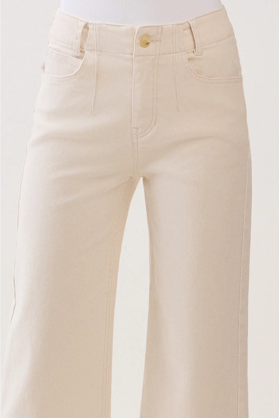 Rosa A Line Jeans With Darts